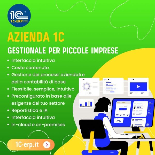 Software gestionale azienda 1C